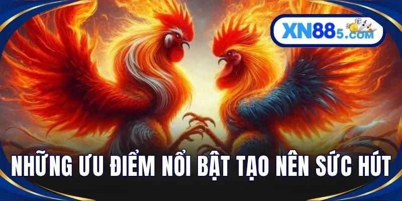 Những ưu điểm nổi bật tạo nên sức hút